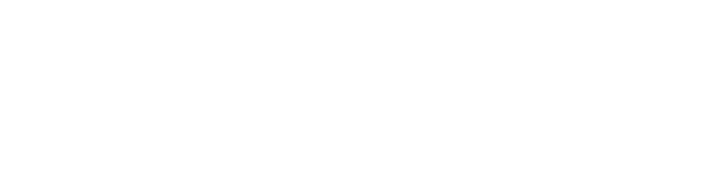 Netshoes logo parceiro